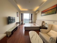 乐山市中高铁站世豪旁电梯精装一室  家具家电齐全，拎包入住出租房源真实图片