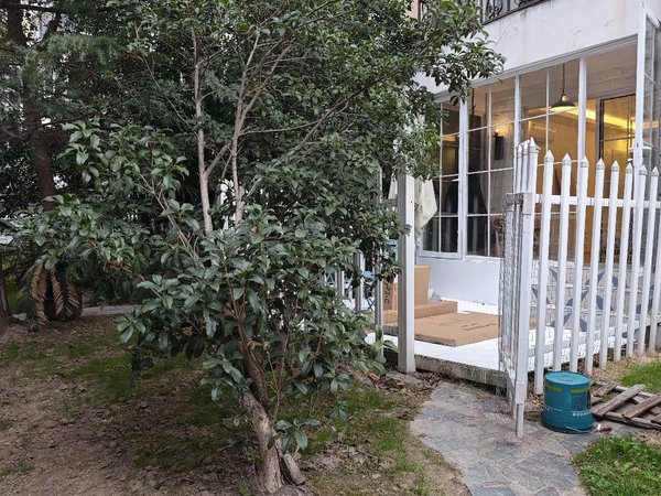 上海长宁镇宁路愚园书香公寓江苏路地铁口底楼花园进出推窗见绿鸟语