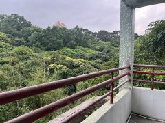 深圳南山华侨城华侨城华山村单间宿舍，朝南看燕晗山风景出租房源真实图片