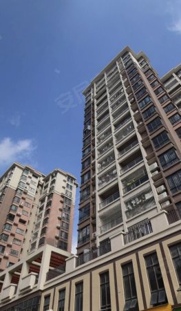 大新城南贸花园,精装三房,理想楼层,采光好,户型正,看房抓紧