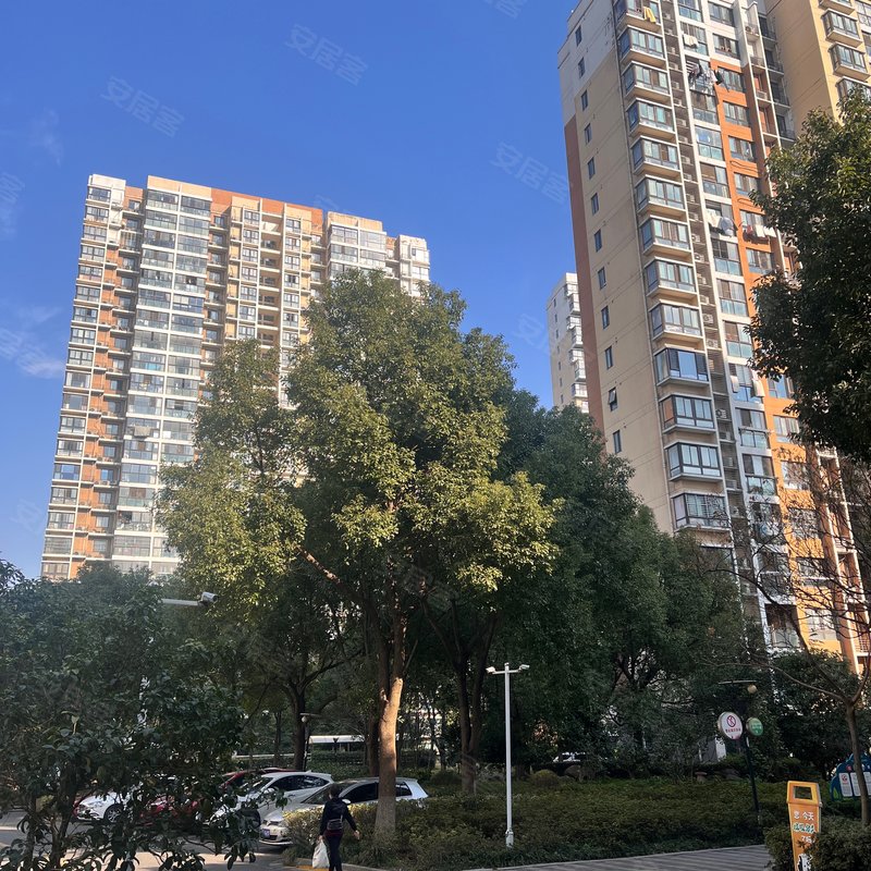 翰林缘专家解读