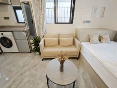 深圳福田下沙下沙一坊 南北通透 20平 电梯房出租房源真实图片