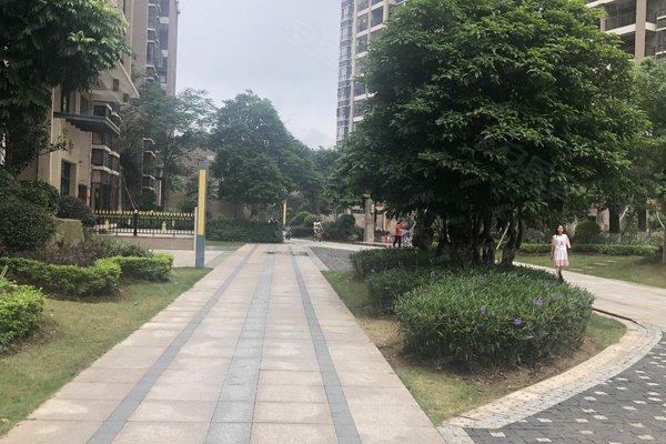 清远二手房 城市花园玉荷苑 > 梁刚毅解读城市花园玉荷苑小区设施高星