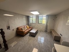 宜春袁州袁山公园急租 红林 天禄商厦五彩城 枣树园 精装复式公寓 家电齐全出租房源真实图片
