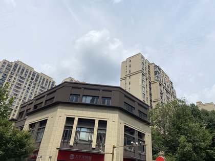 不足,保利翡丽公馆怎么样,保利翡丽公馆周边房产中介经纪人评价-上海