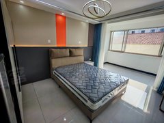 苏州工业园东环精装一室 大阳台 徐家浜地铁口 万科美好广场厨卧分离拎包入住出租房源真实图片