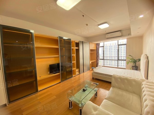 豪华装修 高楼层南向 干净漂亮 密码随时看房出租房源真实图片