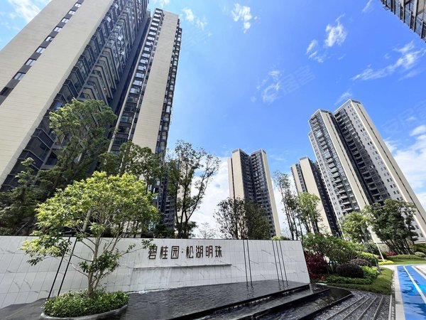 东莞横沥横沥城区碧桂园松湖明珠真实价格 松湖明珠全屋定制三房 温馨