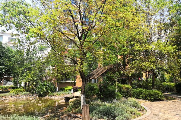 不足,玉龙花园怎么样,玉龙花园周边房产中介经纪人评价-玉溪安居客