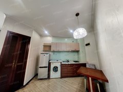 启东启东车管所车管所润福智慧谷 1室1厅1卫 60平 电梯房出租房源真实图片