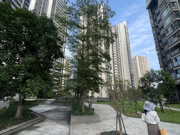 【多图】保利花海湾,芳村租房,保利花海湾 电梯精装大三房 环境优美