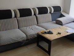阜新阜新县阜新城区西门蒙高附近五楼833月,两室通厅,家电齐全,拎包入住!出租房源真实图片