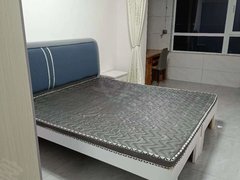 周口川汇东新区丰和家园东区 1室1厅1卫出租房源真实图片