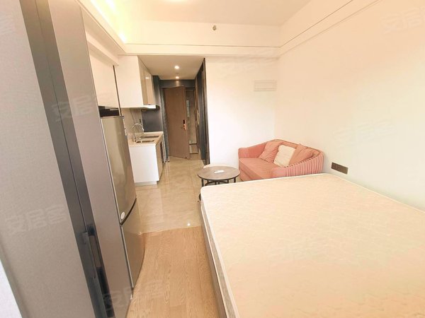 前海远洋滨海大厦本人实拍 看房有钥匙 荔林地铁口 东南向公寓一房