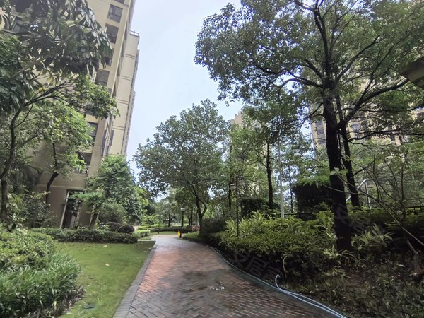 【多图】保利花城,新区租房,哇!