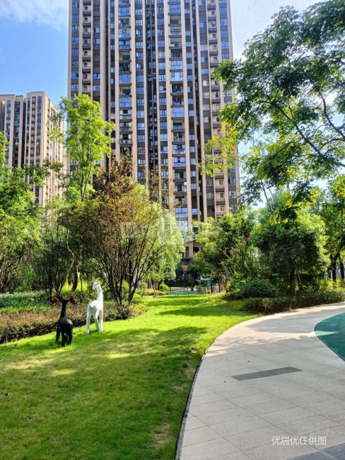 毛坯 115平 联发龙洲湾一号c组团 看房方便 有钥匙