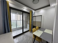 嘉兴平湖新埭新埭精装一室一厅有燃气做饭，有阳台月租1300出租房源真实图片