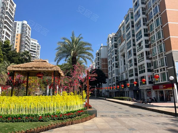 深圳宝安桃源居桃源居14区钟屋南南地铁口 精装小复式 高楼层,采光