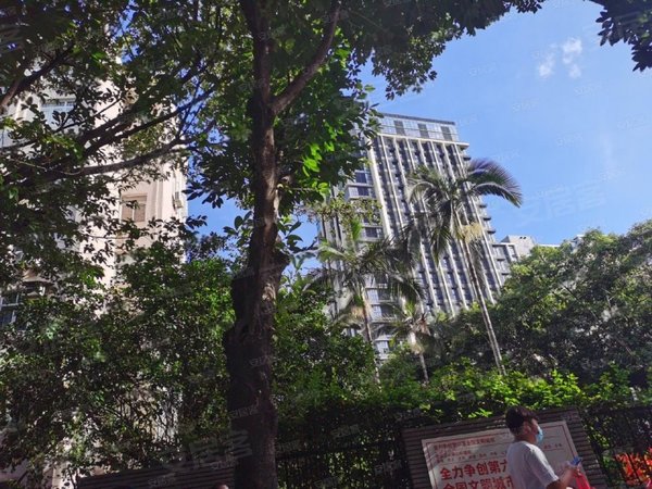 深圳南山南山中心区前海枫叶大厦11.