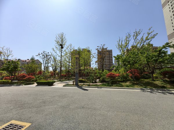 青岛市南徐州路鲁润静园江西路地铁口附近(急租)看房提前约,封闭小区