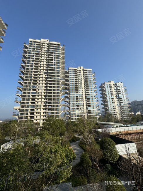 822急卖比售楼部少40万滨湖壹号中间好楼层纯剪漏