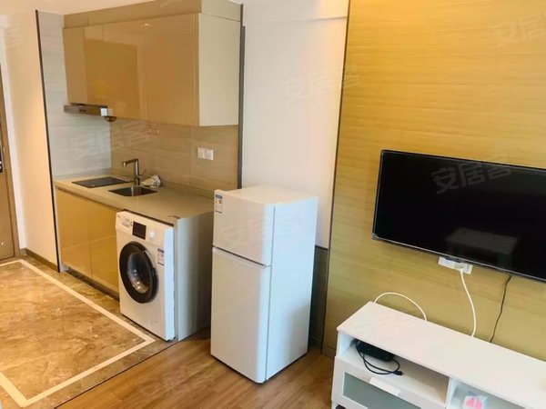 活力岛租房,合景峰汇十二期近地铁四号线孙武纪念园繁华中心公寓环境