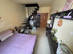 长春南关三道街中环十二区 1室1厅1卫出租房源真实图片