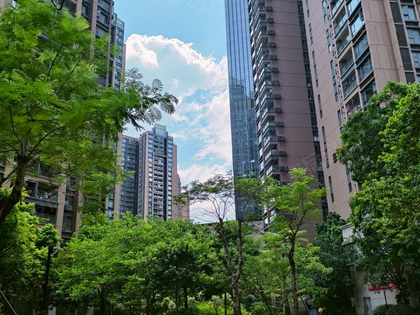 深圳宝安松岗联投东方华府(二期)松岗沃尔玛!