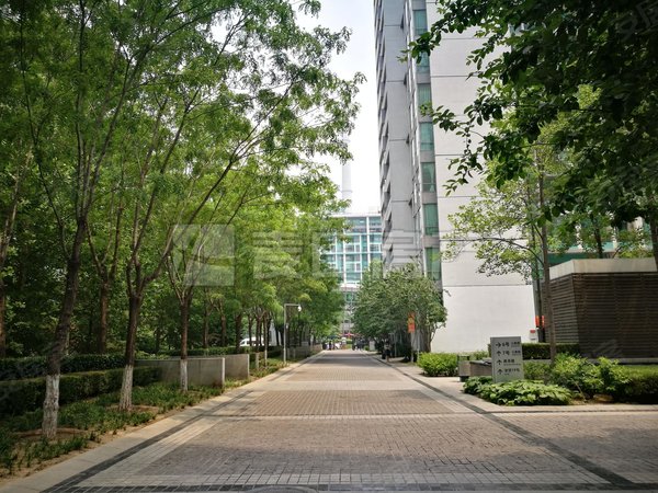 大望路租房,南北通透 2室2厅 华贸公寓,朝阳租房-北京58安居客