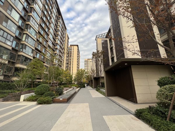 上海闵行诸翟香港置地虹庐湾虹庐湾中叠出租,家具家电齐全,看房方便