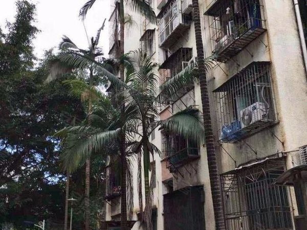 深圳罗湖翠竹愉天小区出租愉天小区 只需2400元即可入住出租房源真实