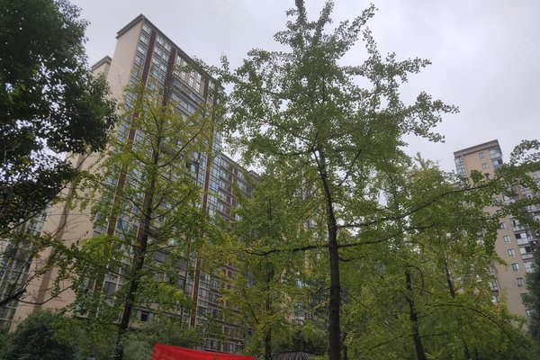 不足,天府滨江中心怎么样,天府滨江中心周边房产中介经纪人评价-成都