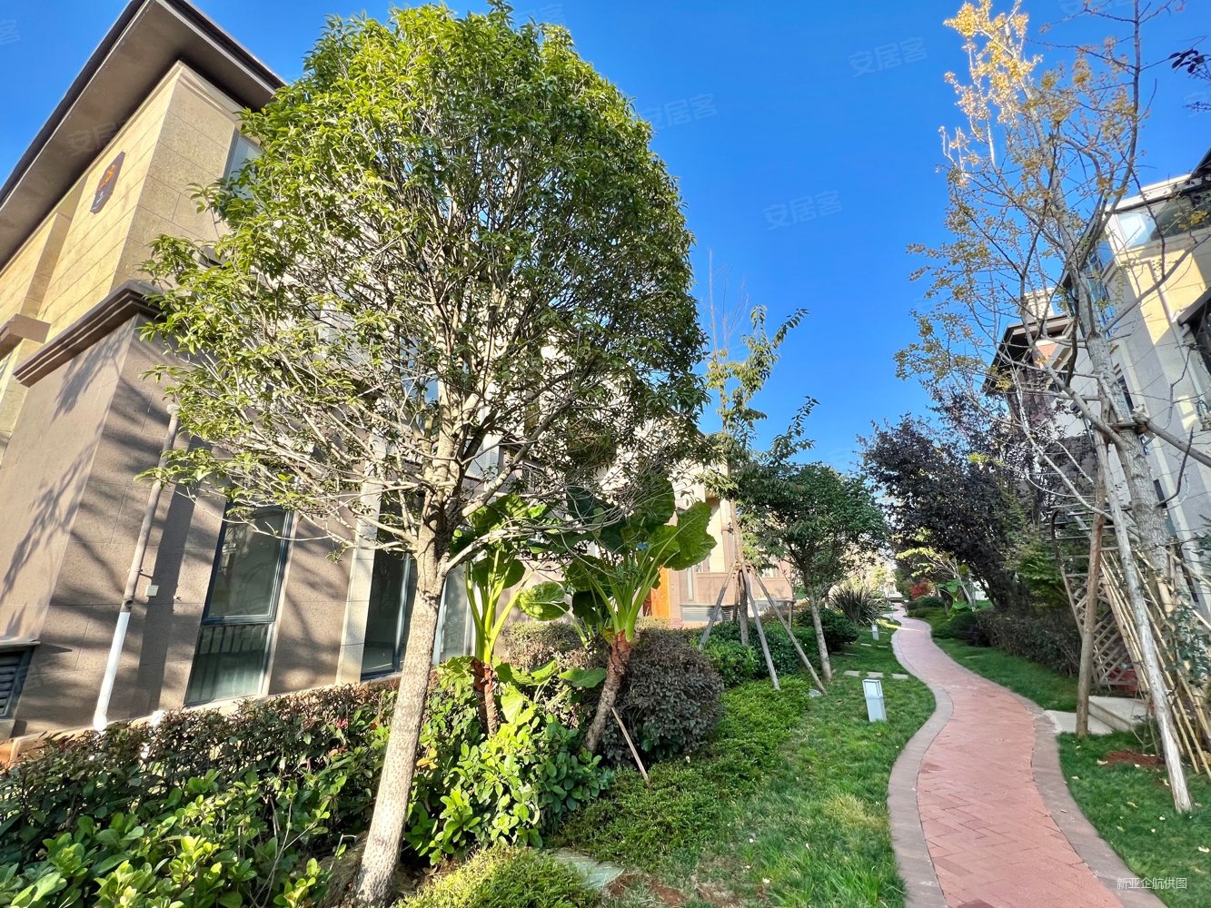 招商雍景湾别墅