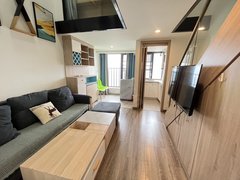 东莞莞城罗沙卓越中寰 精装复式2房 干净整洁 宽敞明亮 民用水电地铁口出租房源真实图片