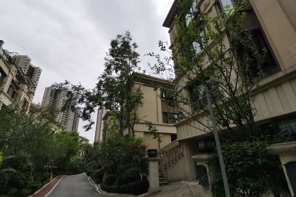 蓝光林肯公园(别墅),渝南分流道,近二塘街-重庆蓝光林肯公园(别墅)