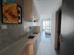 海门海门市区海南路中南SOHO,现代精装修拎包入住，一室一厅一卫。拎包入住。出租房源真实图片