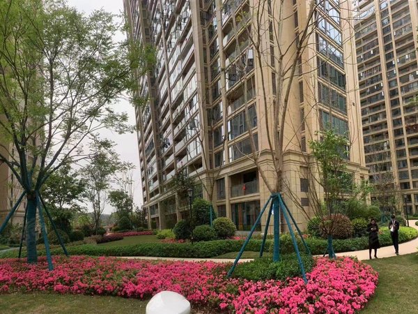 资阳雁江正兴街多弗绿城诚园好房子多弗绿城精装房装修了2年业主出租