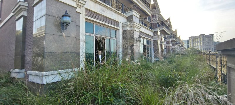 类独栋,御湖名邸二手房,1200万,5室2厅,3卫,537平米-广州安居客