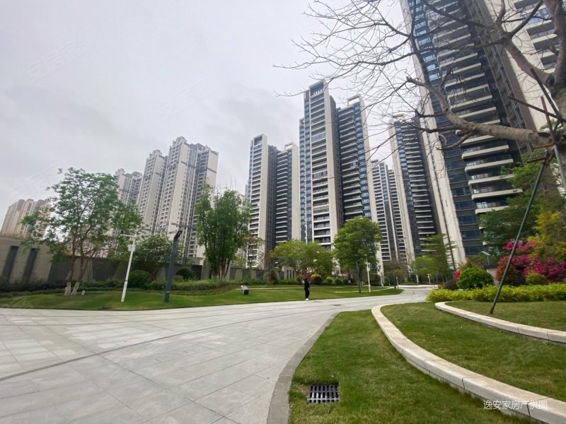 隆生金山湖中心