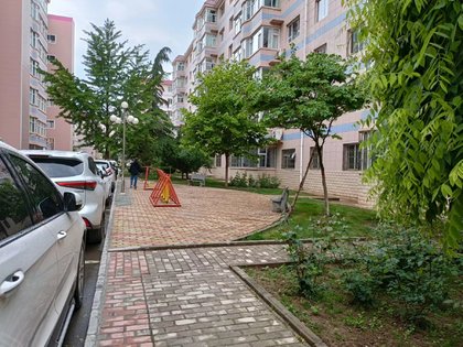 新湖花园优点,不足,新湖花园怎么样,新湖花园周边房产中介经纪人评价