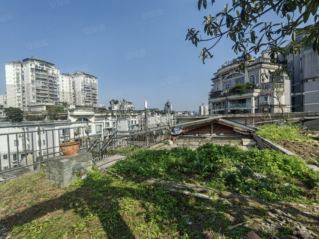 观音桥闹中取静长安华都精装六室龙头寺公园旁6号红土地10号