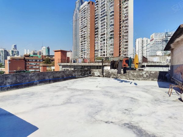 广州越秀东山口寺贝通津1号大院东山口!