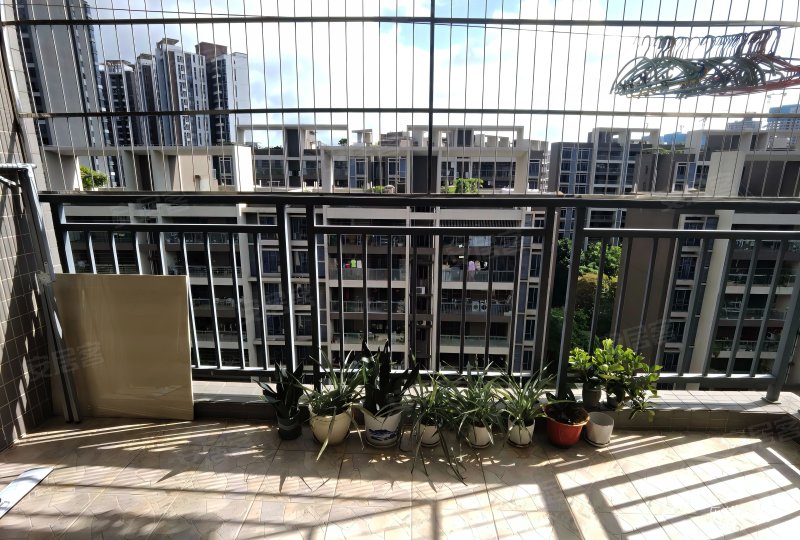 伦教湿地公园旁 电梯高层视野很好 拎包入住,华海大厦二手房,129.