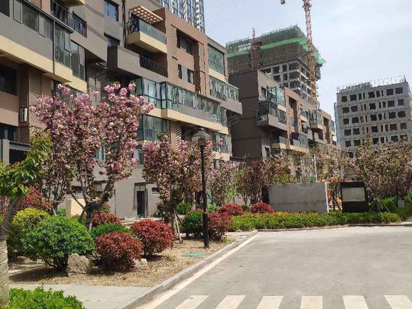 青岛城阳白云山公园澜公馆电梯精装套四 看房有钥匙 家具家电齐全  澜