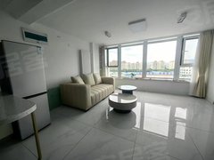 青岛市北河西青特星城(商住楼) 1室1厅1卫  电梯房 精装修39平米出租房源真实图片