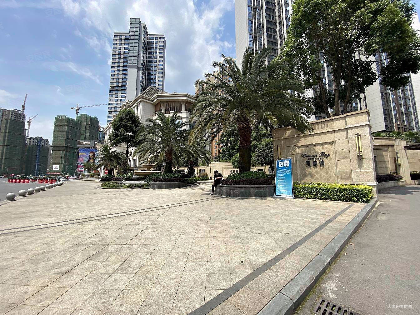 戛纳湾金棕榈