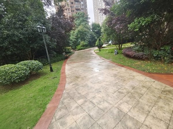 重庆合川钓鱼城街道花滩一号花滩一号精装电梯三室两厅两卫朝南方出租