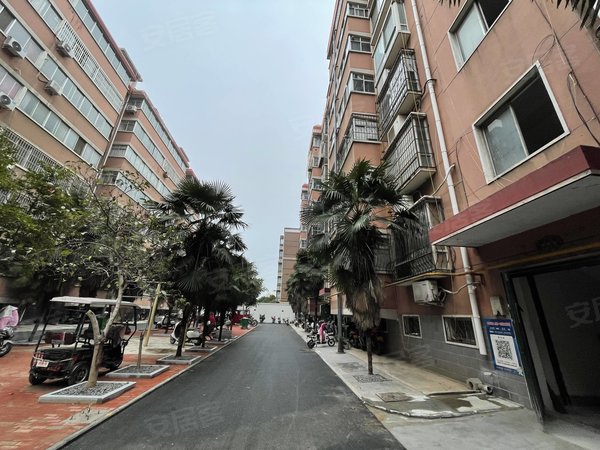 【多图】美好家园,洛阳火车站租房,西工区 火车站 交通方便 双卫三室