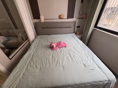 东阳东阳市区白云街道西麻车小区 后上田 木雕城 汽车城 设备齐全押一付一拎包入住出租房源真实图片