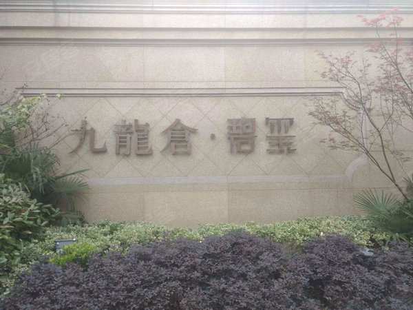 【多图】九龙仓碧玺,桥西租房,桥西地铁口河站d32边碧玺大三室卖小边
